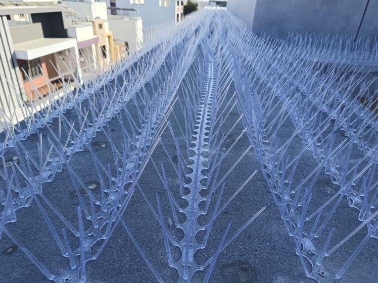 Bird Spikes